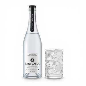 Sant Aniol Sparkling Mineral Water (750ml)