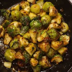 Brassica