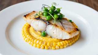 Jerk Seared Steelhead Trout