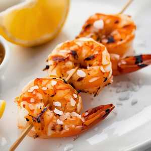 Shrimp
