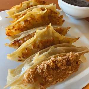 Fried Vegetable Dumplings