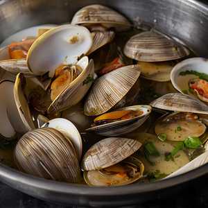 Clams