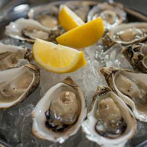 Sea Cup