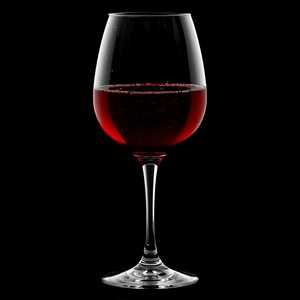 Campo Viejo Gran Reserva Tempranillo, Rioja Spain 2016