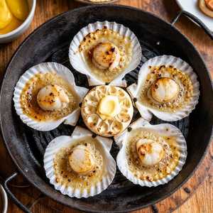 Charcoal-Roasted Scallops