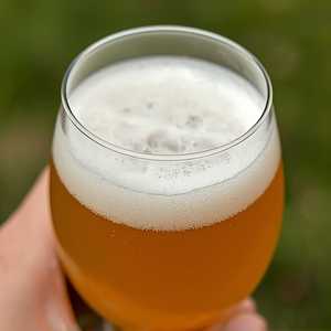 Wave IPA Non-Alcoholic