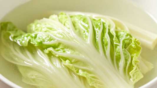 Cabbage