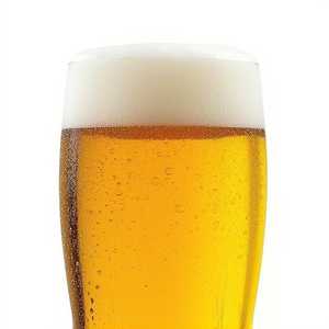 De San Luis Lager