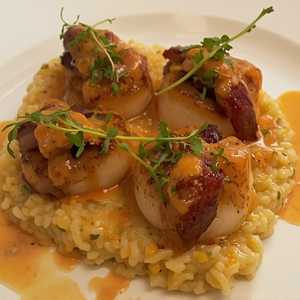 New England U-10 Diver Scallops