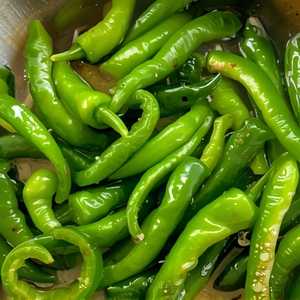 Tambo Long Hots