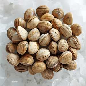 Littlenecks