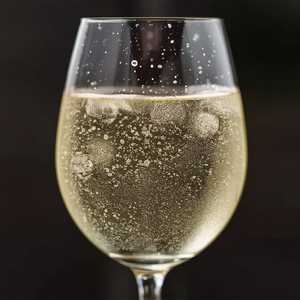 Gatao Vinho Verde (Portugal)