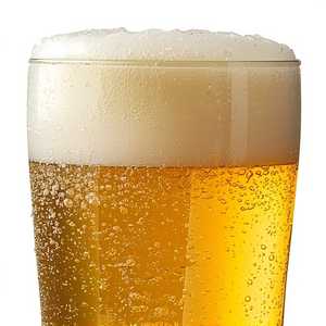 Victory Prima Pils