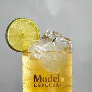MODELO ESPECIAL
