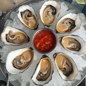 Oysters (East + West)