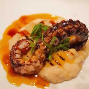 Charred Octopus