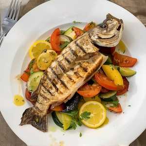 Le Loup de mer