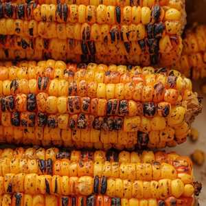 Roasted Corn