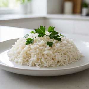 Seasoned Rice