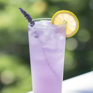Uncharted Lavender Lemonade