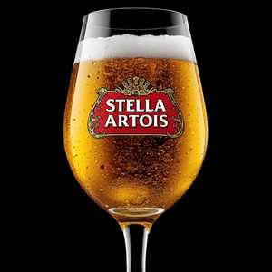 Stella Artois
