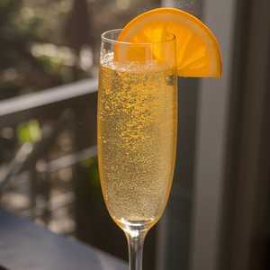 Mimosa