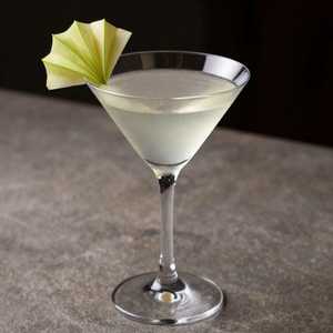 Apple Martini