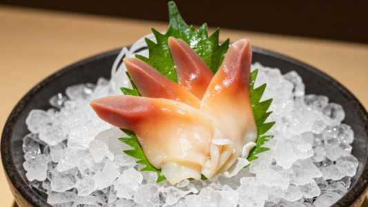Yellowtail