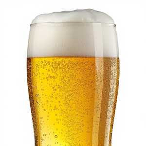 House Golden Pilsner