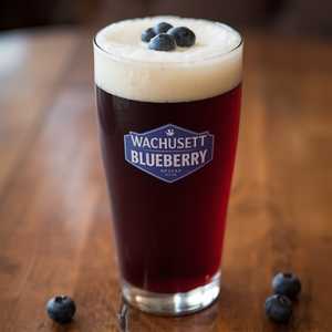 Wachusett Blueberry
