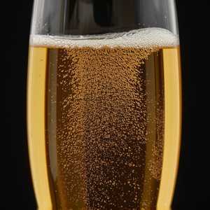 Champagne | Taittinger | Reims, France