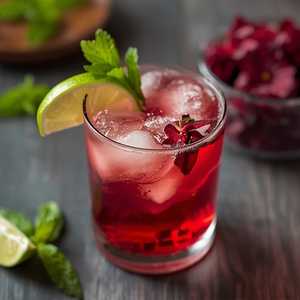 Hibiscus Mojito N/A