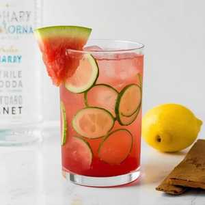 WATERMELON CUCUMBER MARTINI