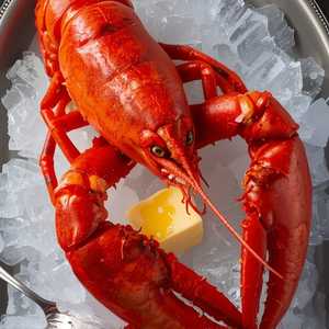 MAINE LOBSTER