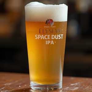 Elysian Space Dust IPA
