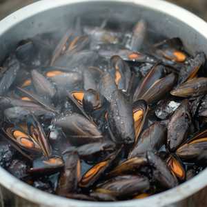 Mussels Forte Dei Marmi