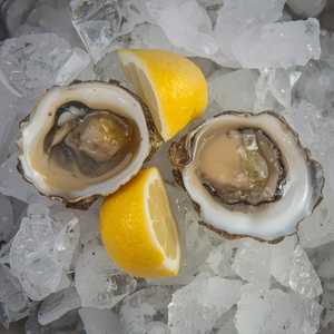Totten Point Oyster