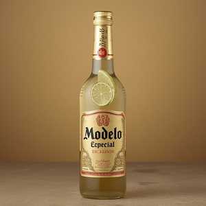 Modelo Especial