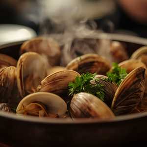 Bowl Of Clam Steamers