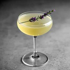 Lavender Bees Knees