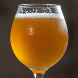Yazoo Brewing Embrace the Funk Peach and Sicilian Lemon Ale