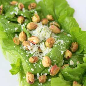 BUTTER LETTUCE