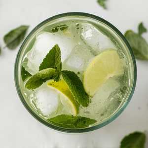 Mojito Mocktail