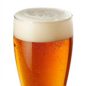 Goose Island Ipa