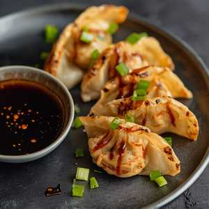 Chicken Teriyaki Dumplings