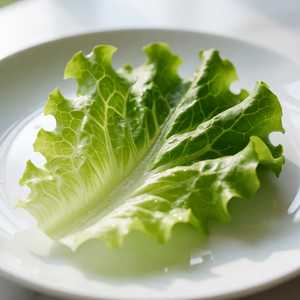 Lettuce