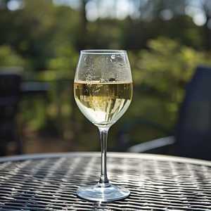 Tangent Pinot Gris 2020, Edna Valley