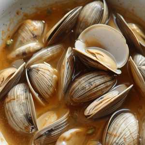 Little Neck Clams
