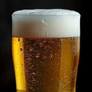 The Hopheiser Yardbird Lager