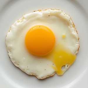 Fried Egg